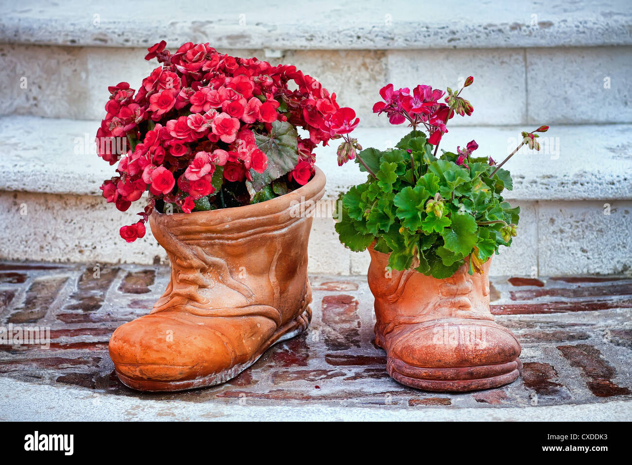 Tulpenförmige Schuhe und Blumen Stockfoto