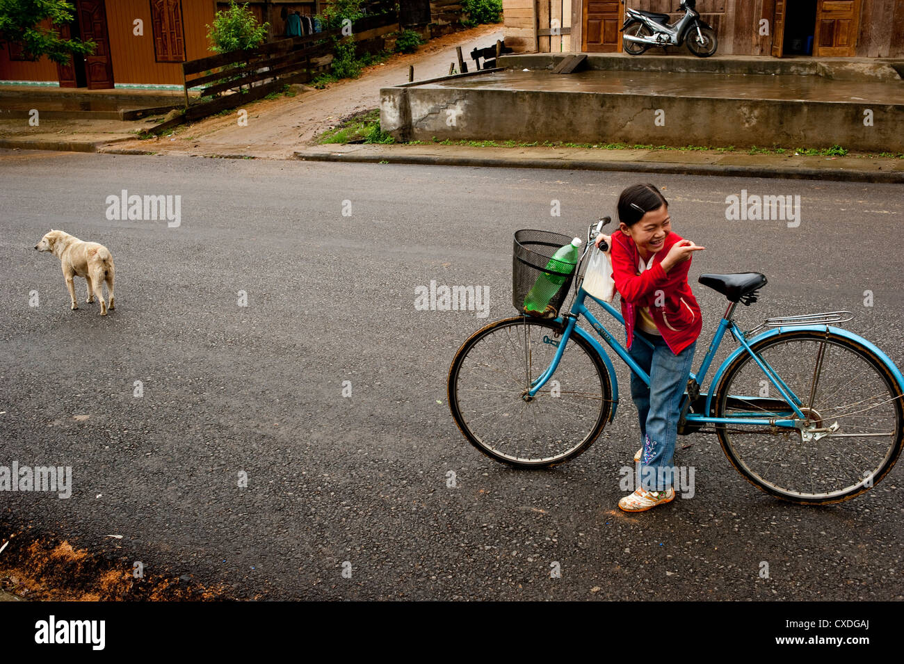 Ein junges Mädchen auf einem Fahrrad mit einem Hund auf der Straße Nord-Vietnam Stockfoto