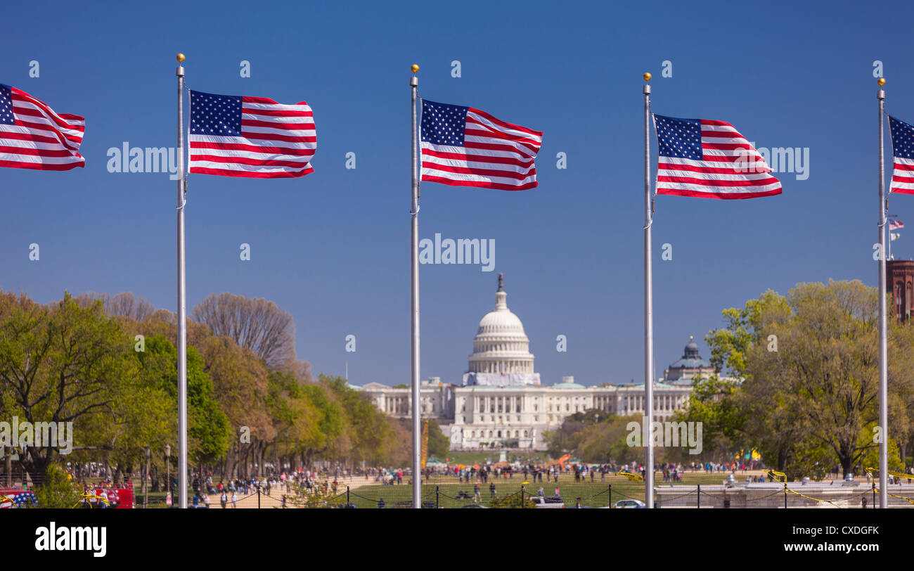 WASHINGTON, DC, USA - USA-Flaggen und United States Capitol Gebäude auf der National Mall. Stockfoto