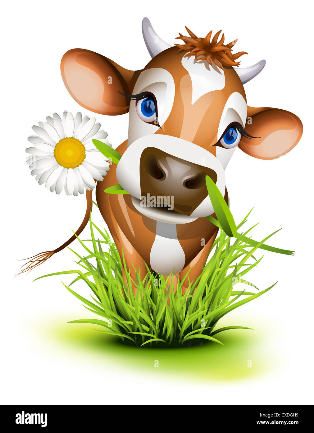 Jersey-Kuh in Grasgrün Stockfoto