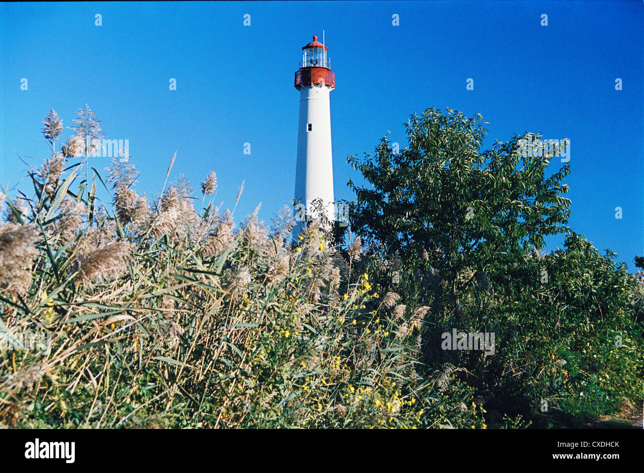 Leuchtturm am Cape MayE 0001.jpg, New Jersey, Vereinigte Staaten Stockfoto