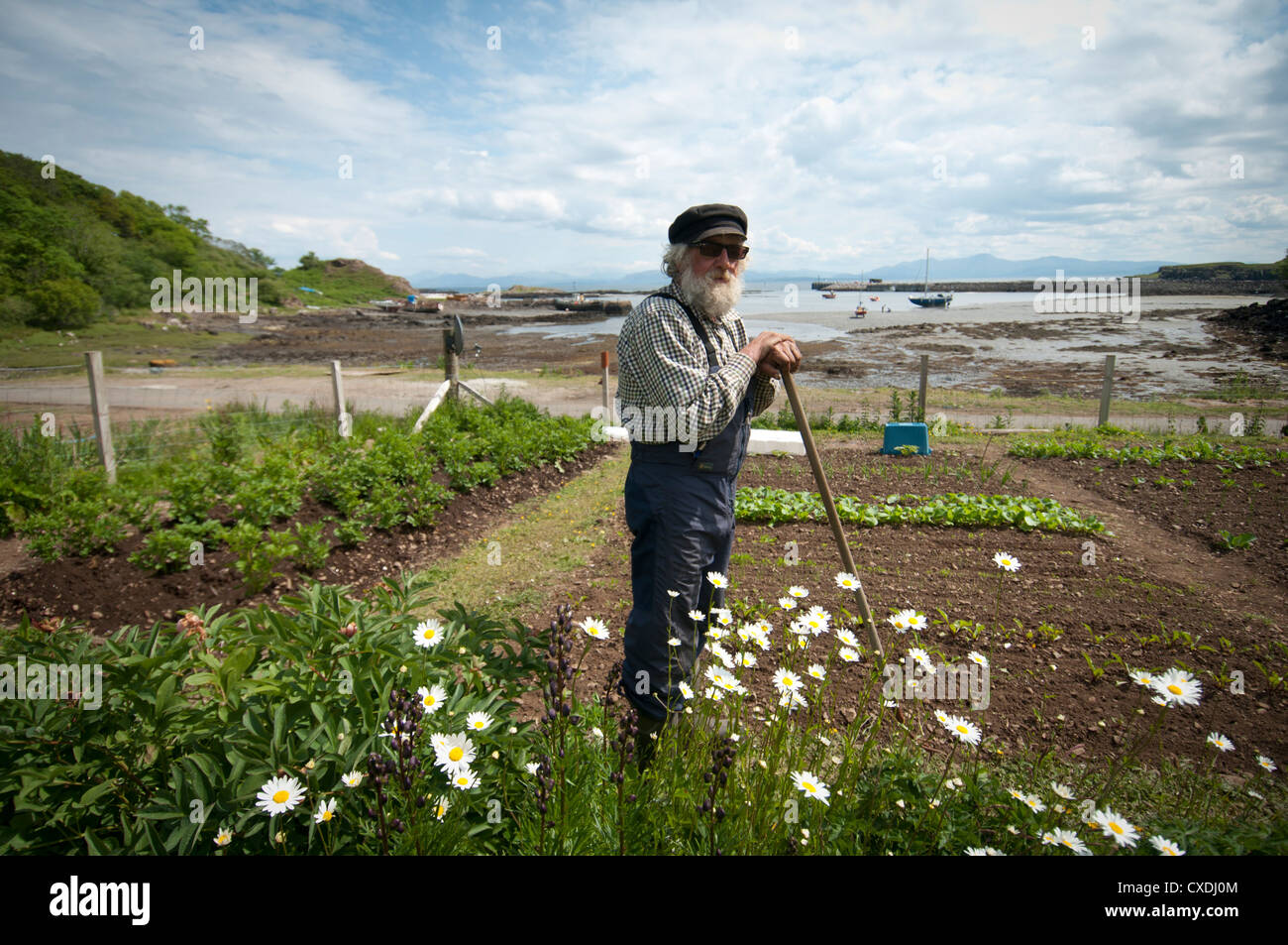 Matrose auf der schottischen Insel Ei (Eigg) neigt seine Pflanzen in einem Garten am Meer an einem sonnigen Tag. Stockfoto