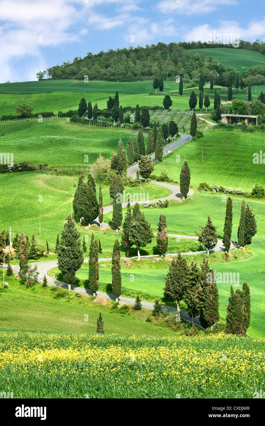 Schöne Landschaft in der Toskana mit gewundenen Straße und gelben bus Stockfoto