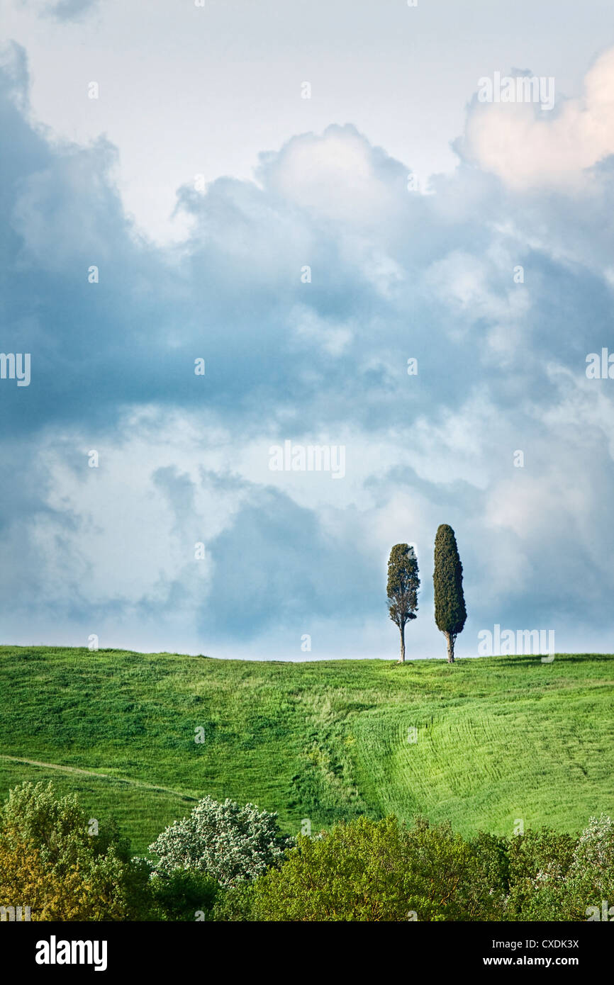 Landschaft in der Toskana Stockfoto