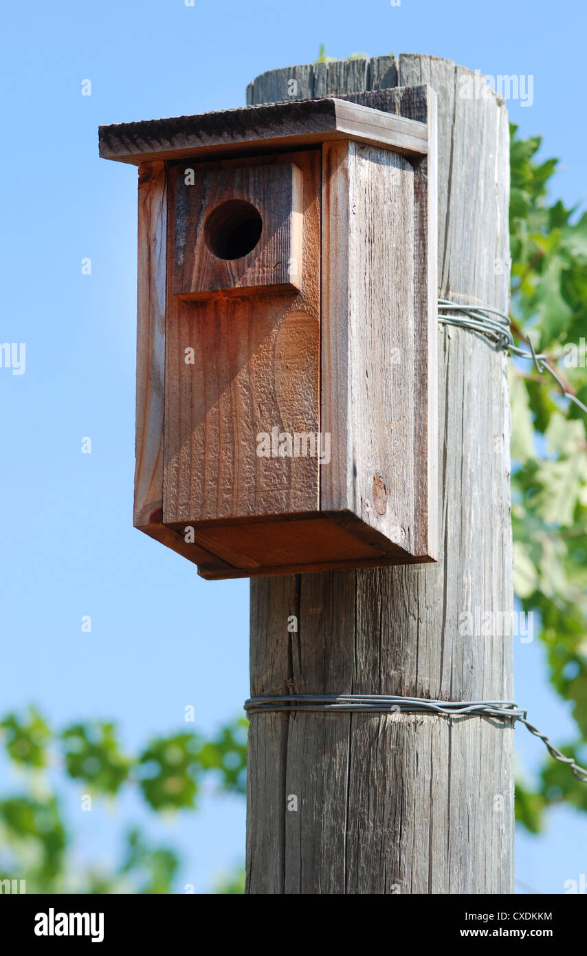 Ein Holz Vogelhaus auf Holzpfosten in einem Weinberg. Blauer Himmel,  umgeben von grüne Blättern Stockfotografie - Alamy