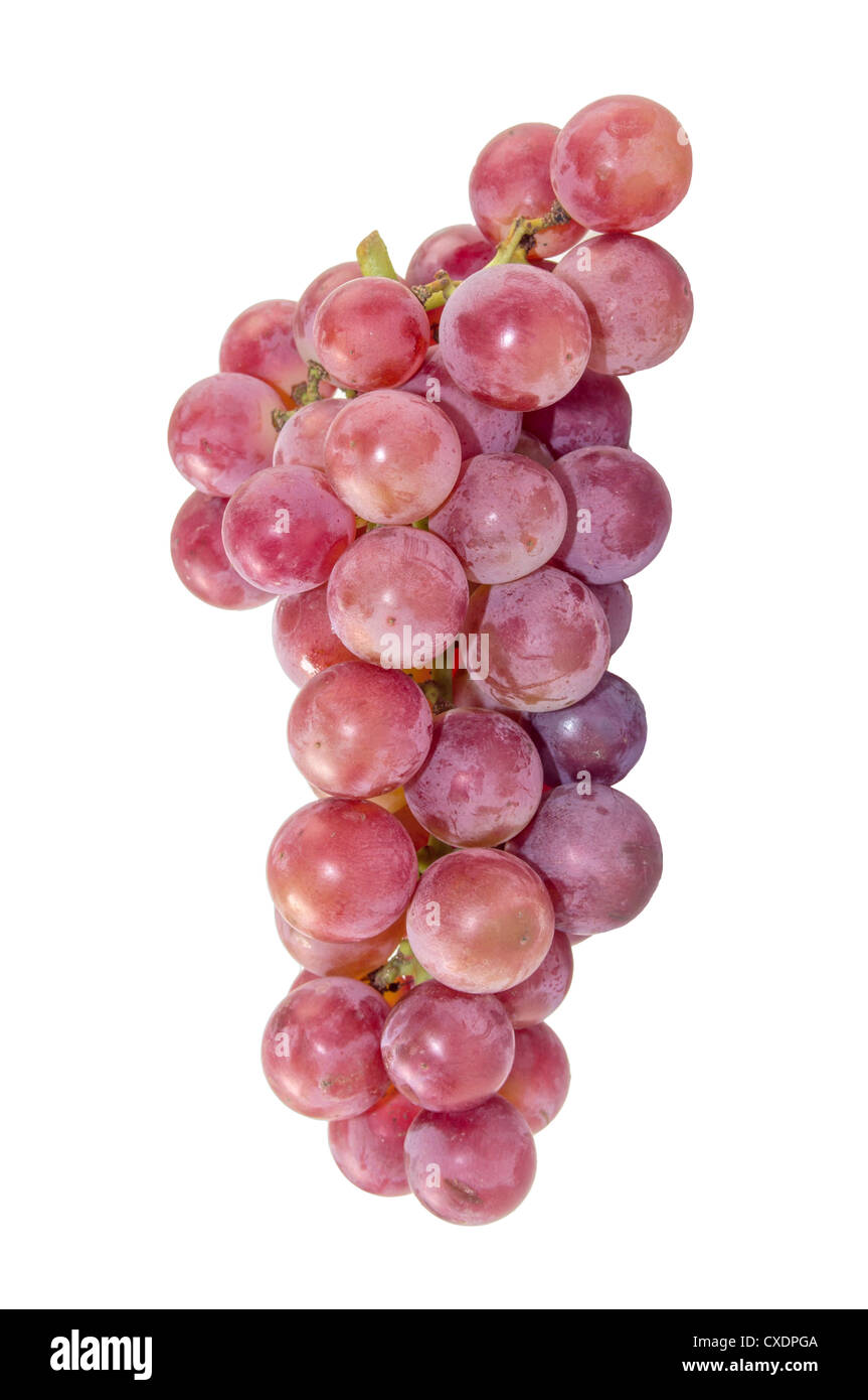 Frischen Weintrauben in weißen Hintergrund isoliert Stockfoto