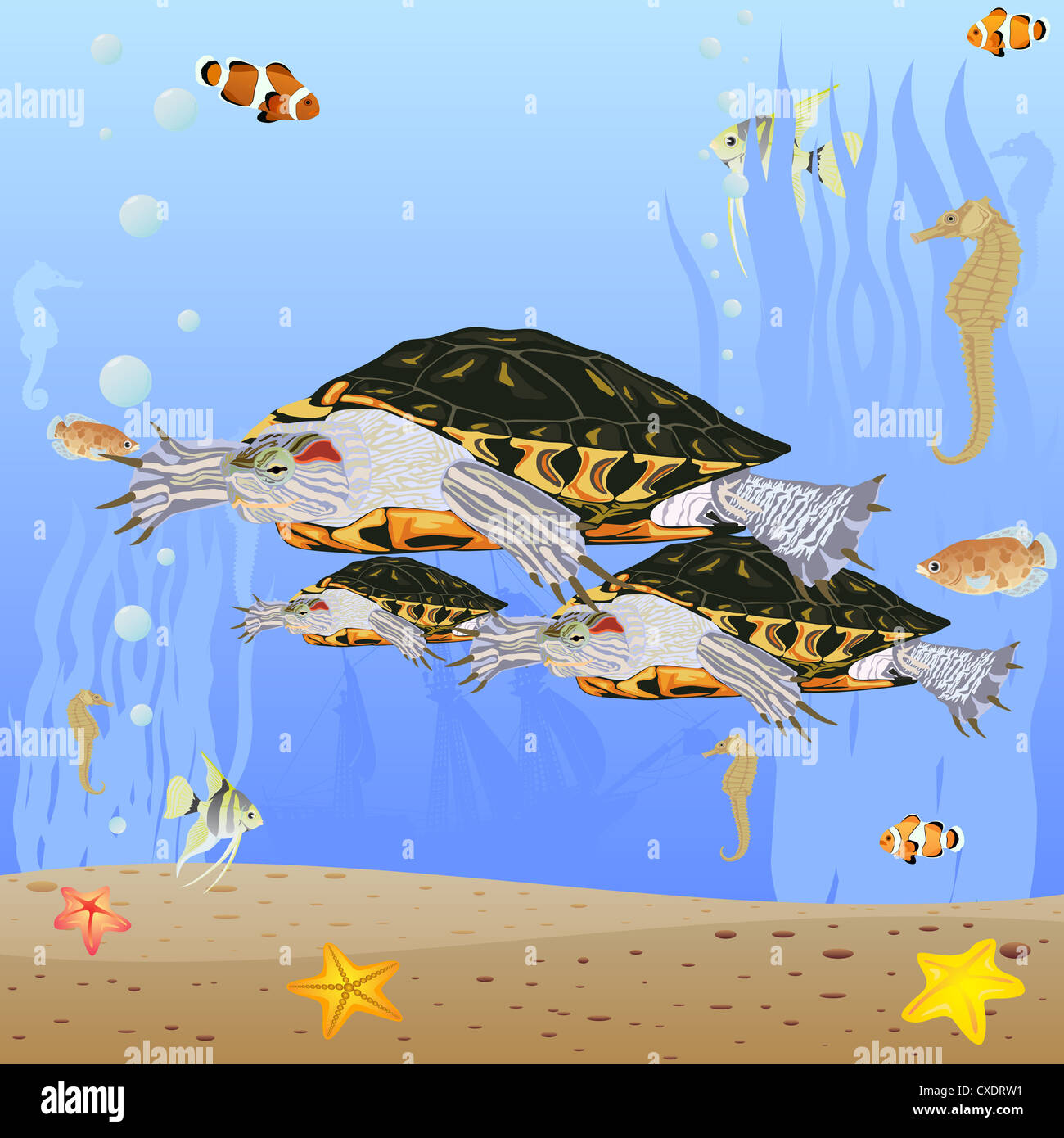 Schildkröten im Meer Stockfoto