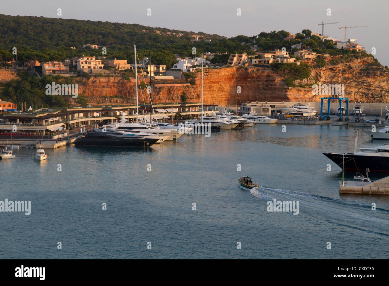 Port Adriano "Puerto Adriano" El Toro, Mallorca, Balearen, Spanien Stockfoto