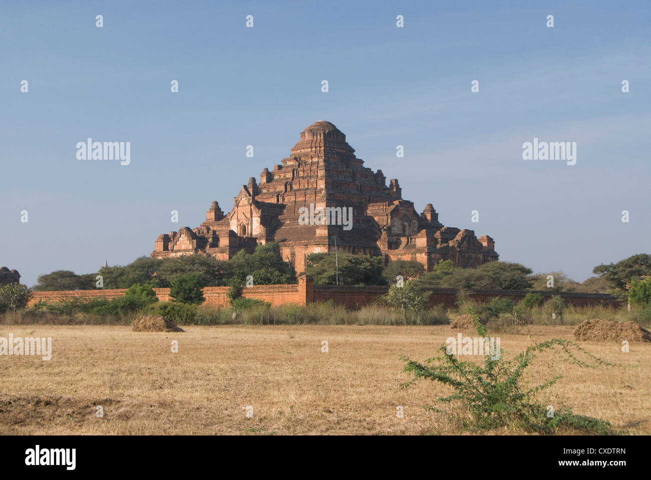 Dhammayangyi Pahto, Bagan (Pagan), Myanmar (Burma), Asien Stockfoto