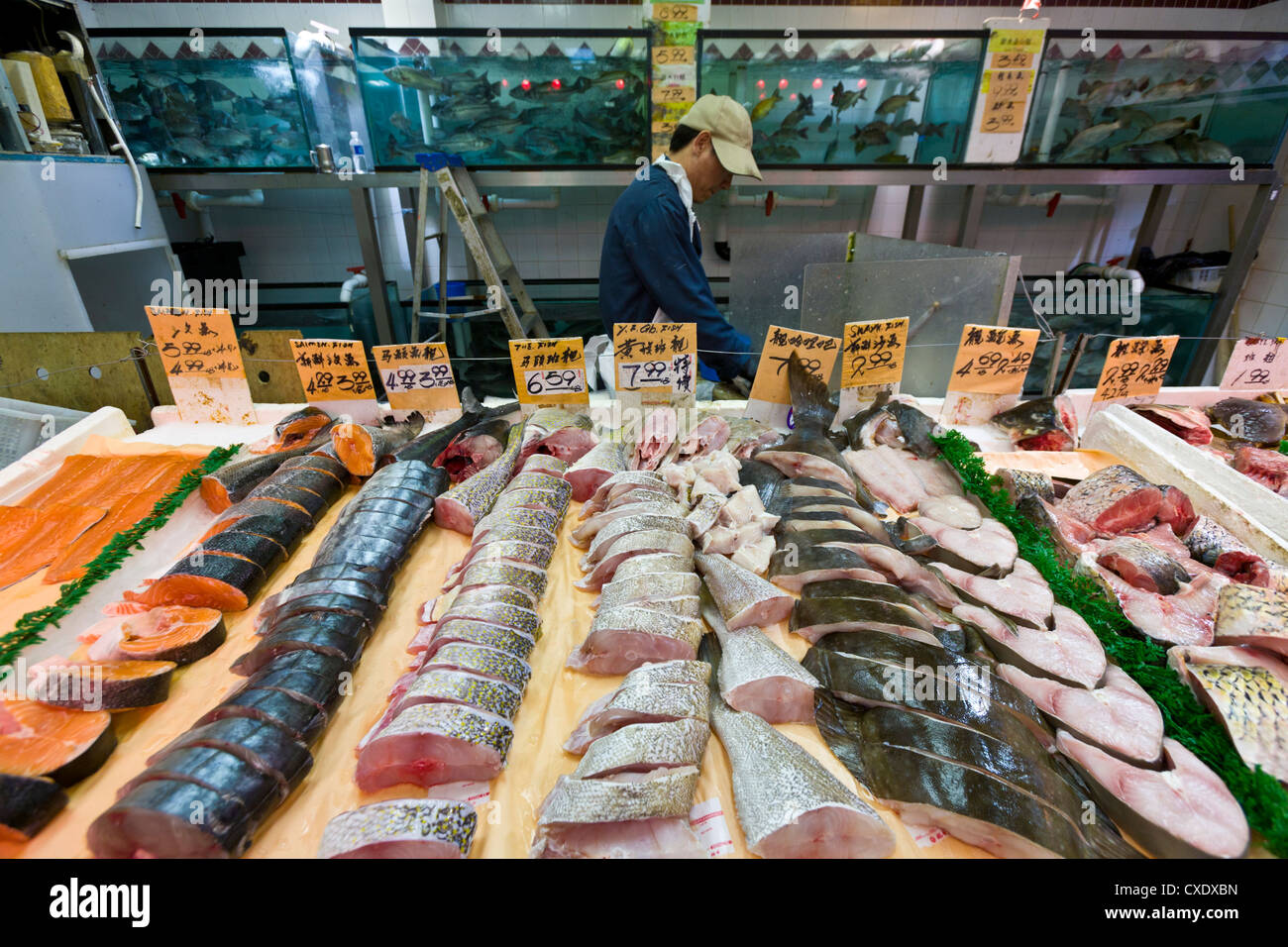 Fisch für Verkauf, Chinatown, Toronto, Ontario, Kanada, Nordamerika Stockfoto