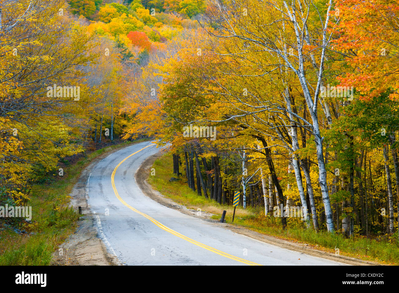 Grafton Notch State Park, Maine, New England, Vereinigte Staaten von Amerika, Nordamerika Stockfoto