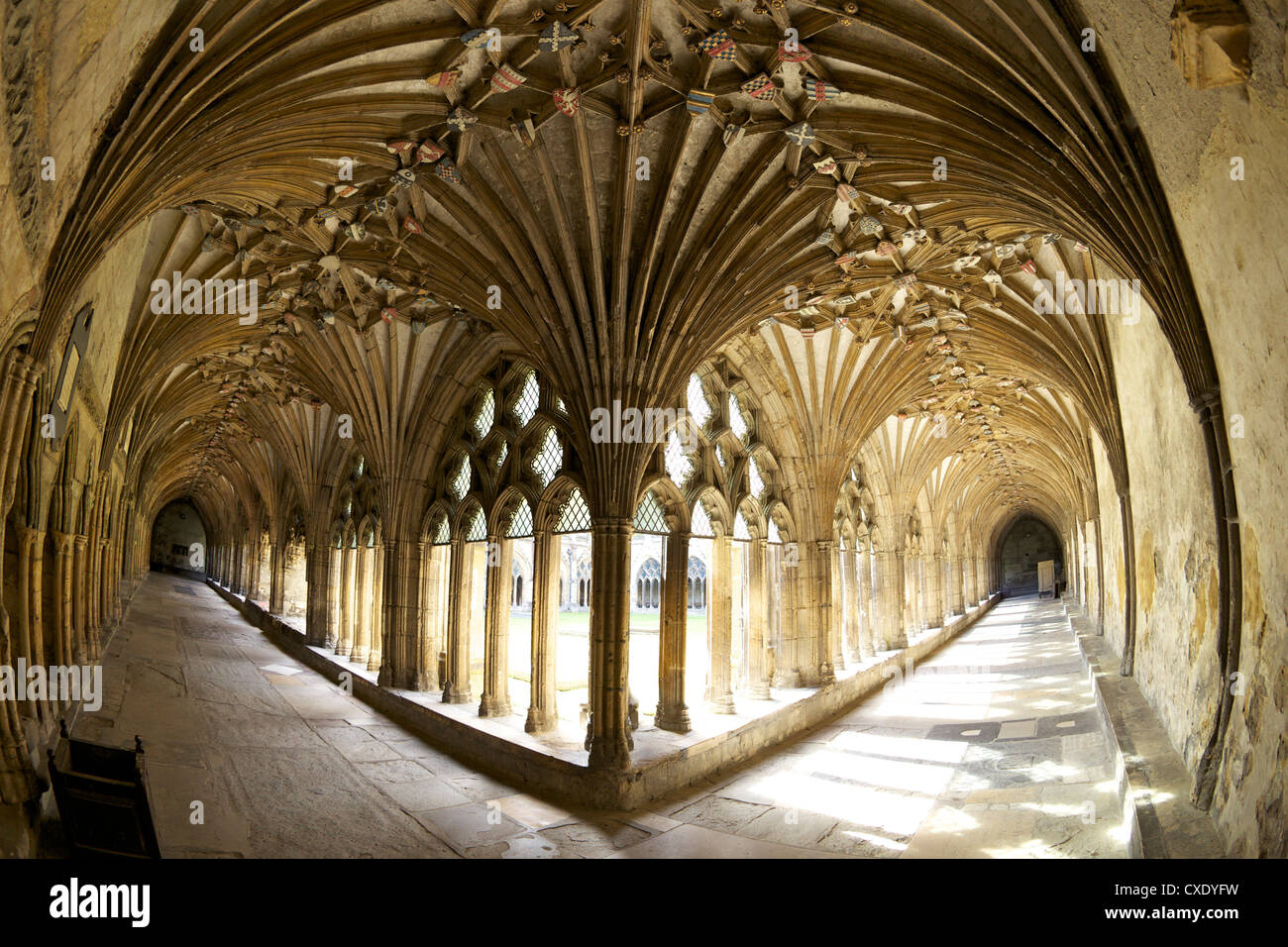 Der große Kreuzgang, Kathedrale von Canterbury, UNESCO-Weltkulturerbe, Canterbury, Kent, England, Vereinigtes Königreich, Europa Stockfoto
