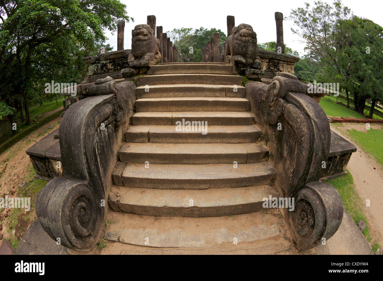 Eingangsstufen mit Löwen, Council Chamber des Königs Nissankamalla, UNESCO-Weltkulturerbe, Polonnaruwa, Sri Lanka, Asien Stockfoto