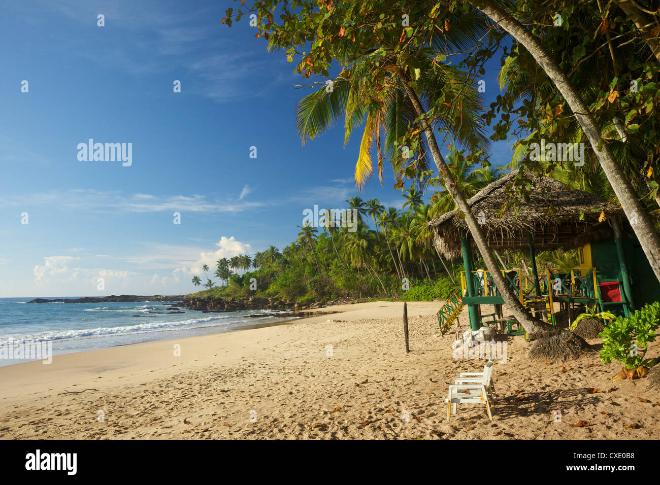 Blick auf den unberührten Strand von Palm Paradise Cabanas, Tangalle, Küste, Sri Lanka, Südasien Stockfoto