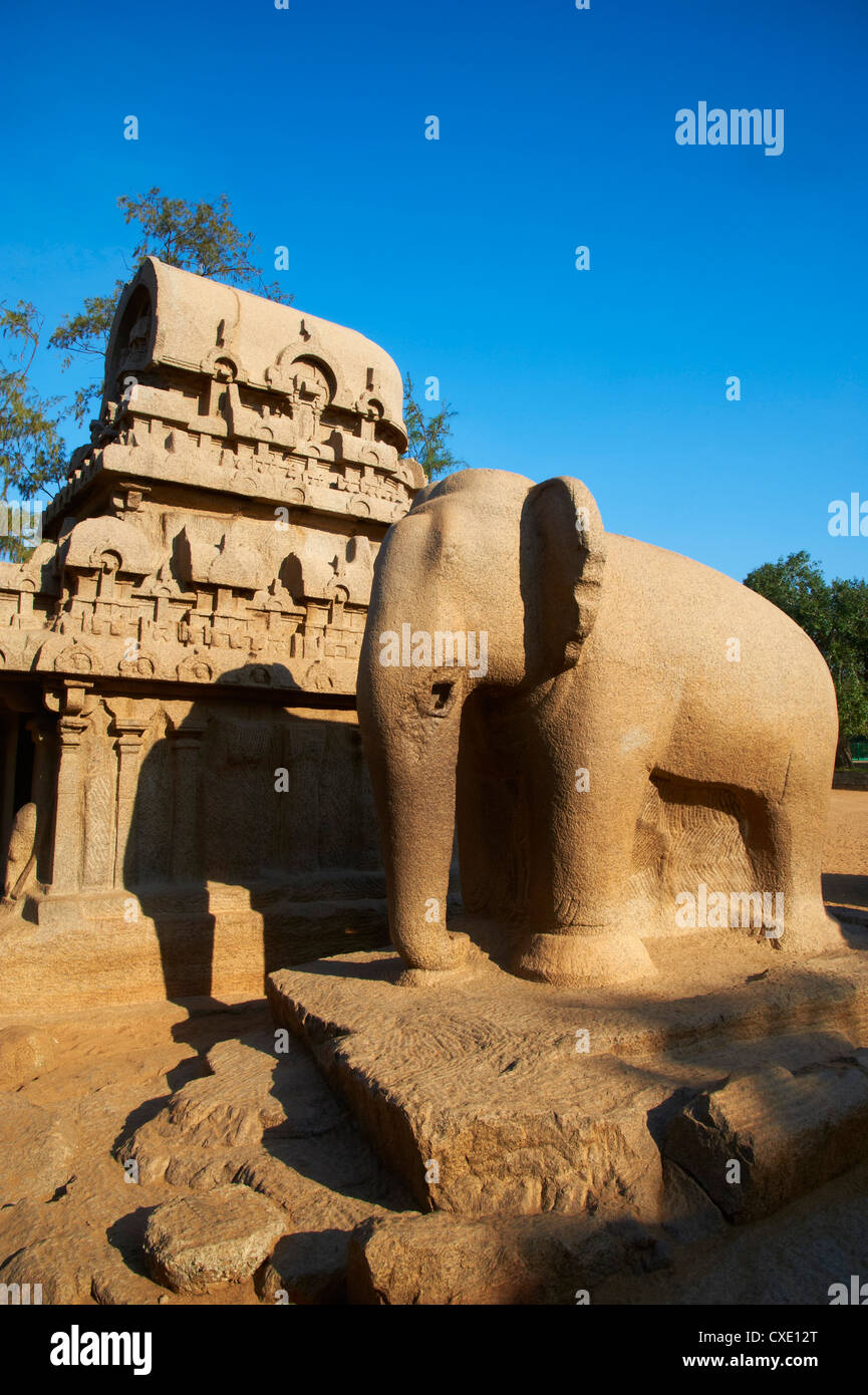 Fünf Ratha, Mamallapuram (Mahabalipuram), UNESCO-Weltkulturerbe, Tamil Nadu, Indien, Asien Stockfoto