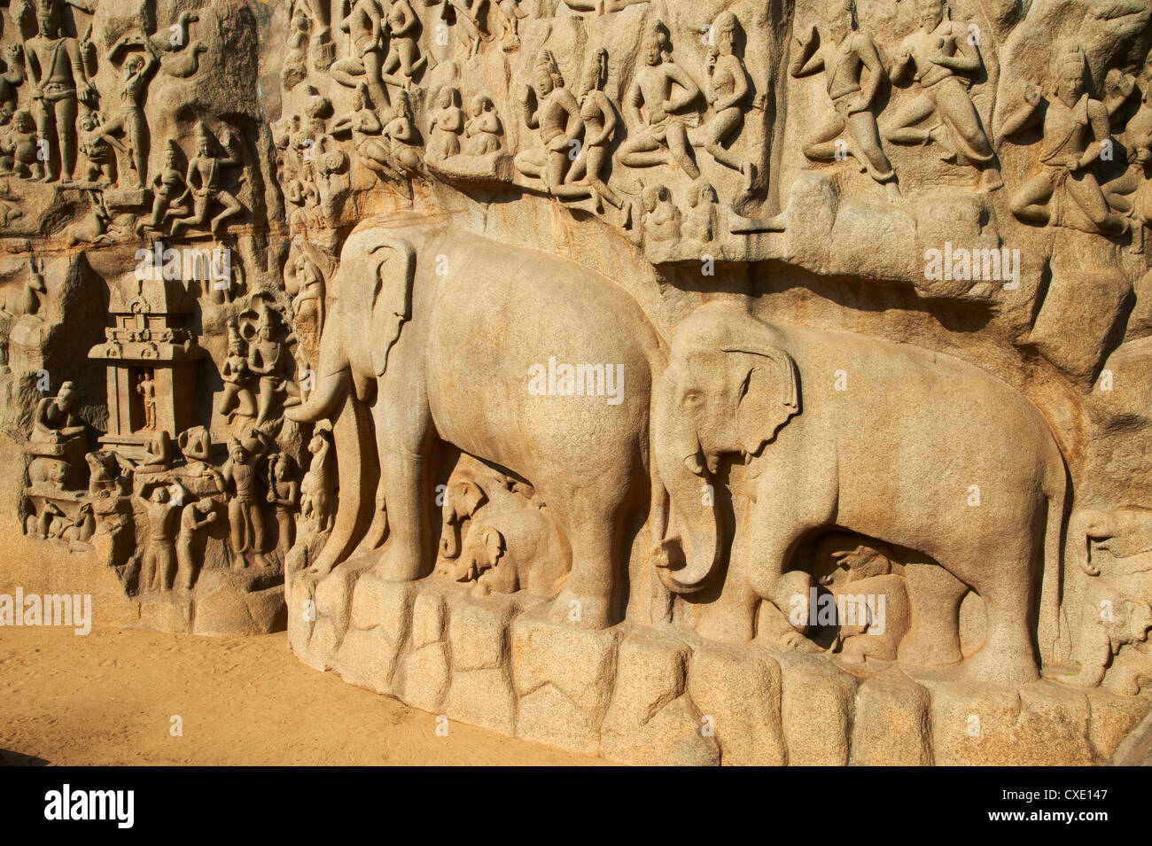 Arjunas Buße Granit Schnitzereien, Mamallapuram (Mahabalipuram), UNESCO-Weltkulturerbe, Tamil Nadu, Indien, Asien Stockfoto