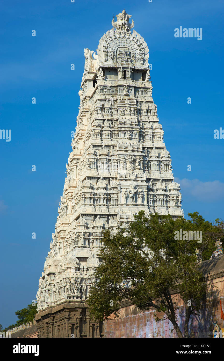 Arunachaleswar Tempel, Tiruvannamalai, Tamil Nadu, Indien, Asien Stockfoto