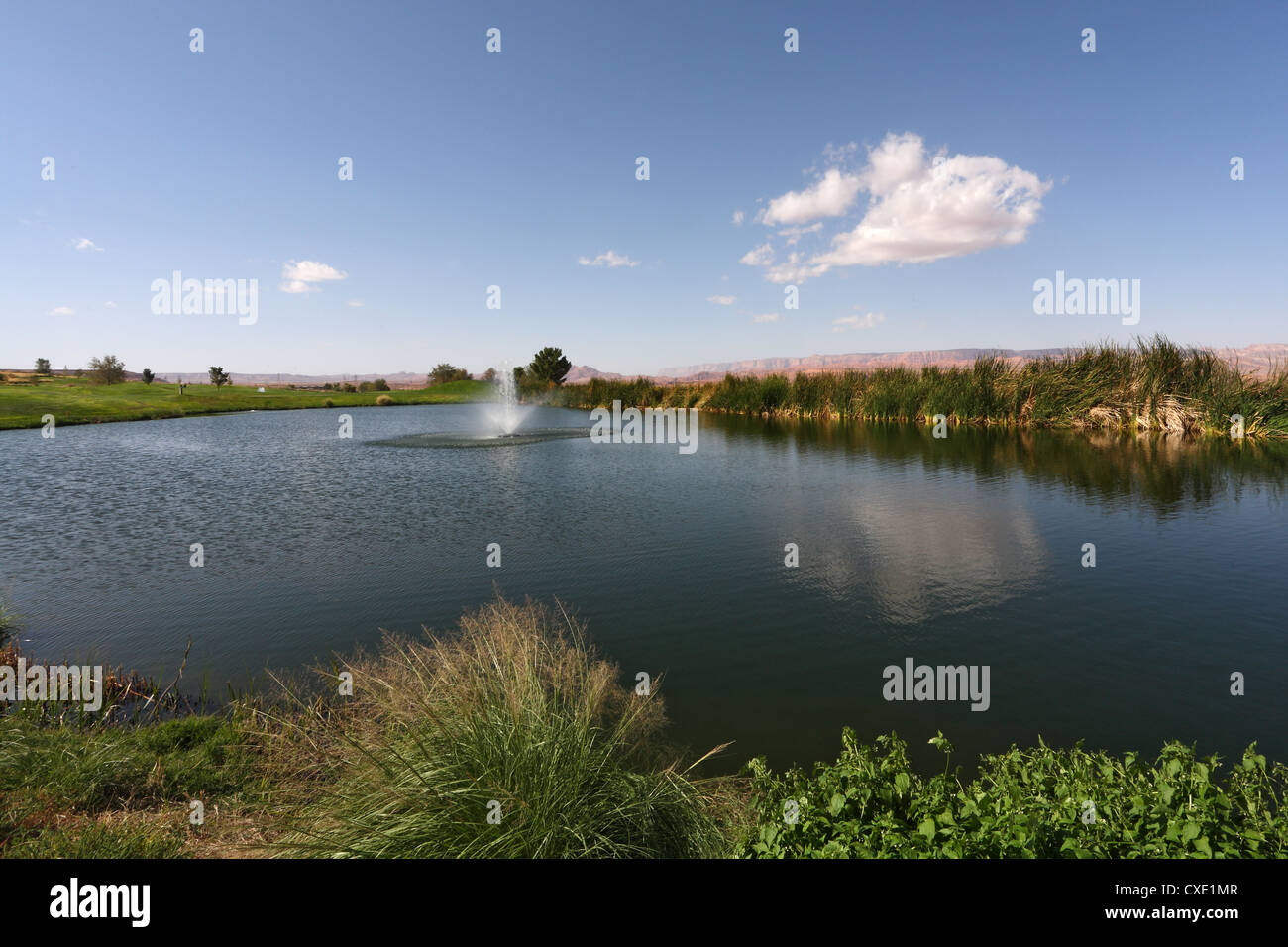 Ruhigen Teich mit einem Springbrunnen Stockfoto
