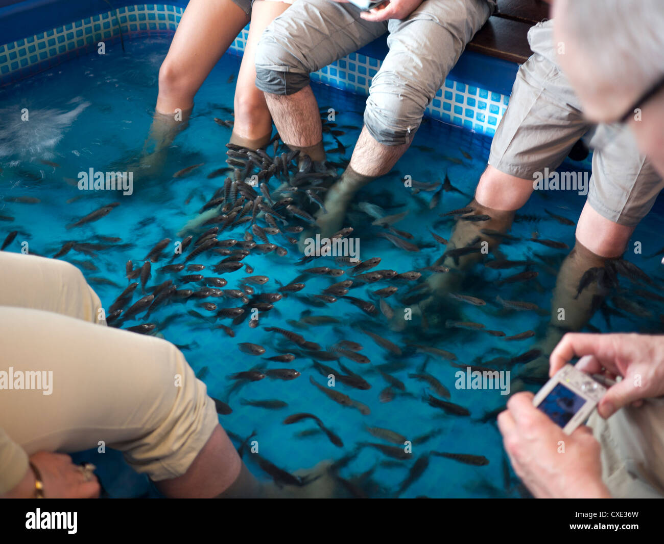 Fisch-Fußbad, Kuala Lumpur, Malaysia Stockfotografie - Alamy
