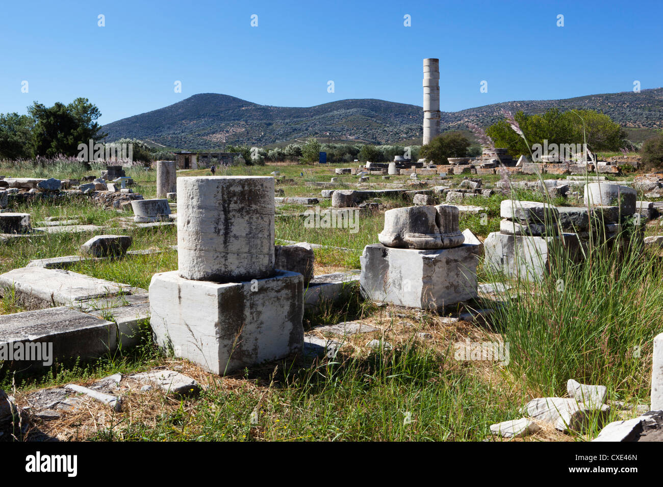 Ireon Ausgrabungsstätte mit Säulen der Tempel der Hera, Ireon, Samos, Ägäische Inseln, Griechenland Stockfoto