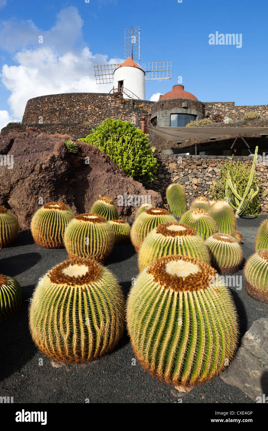Jardin de Cactus (Kaktusgarten), Guatiza, Lanzarote, Kanarische Inseln, Spanien Stockfoto
