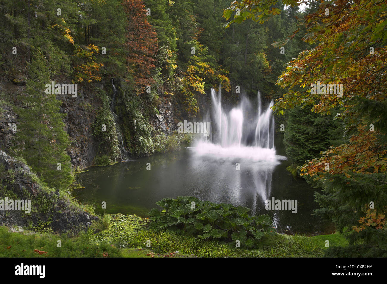 Tanz des Wassers. Stockfoto