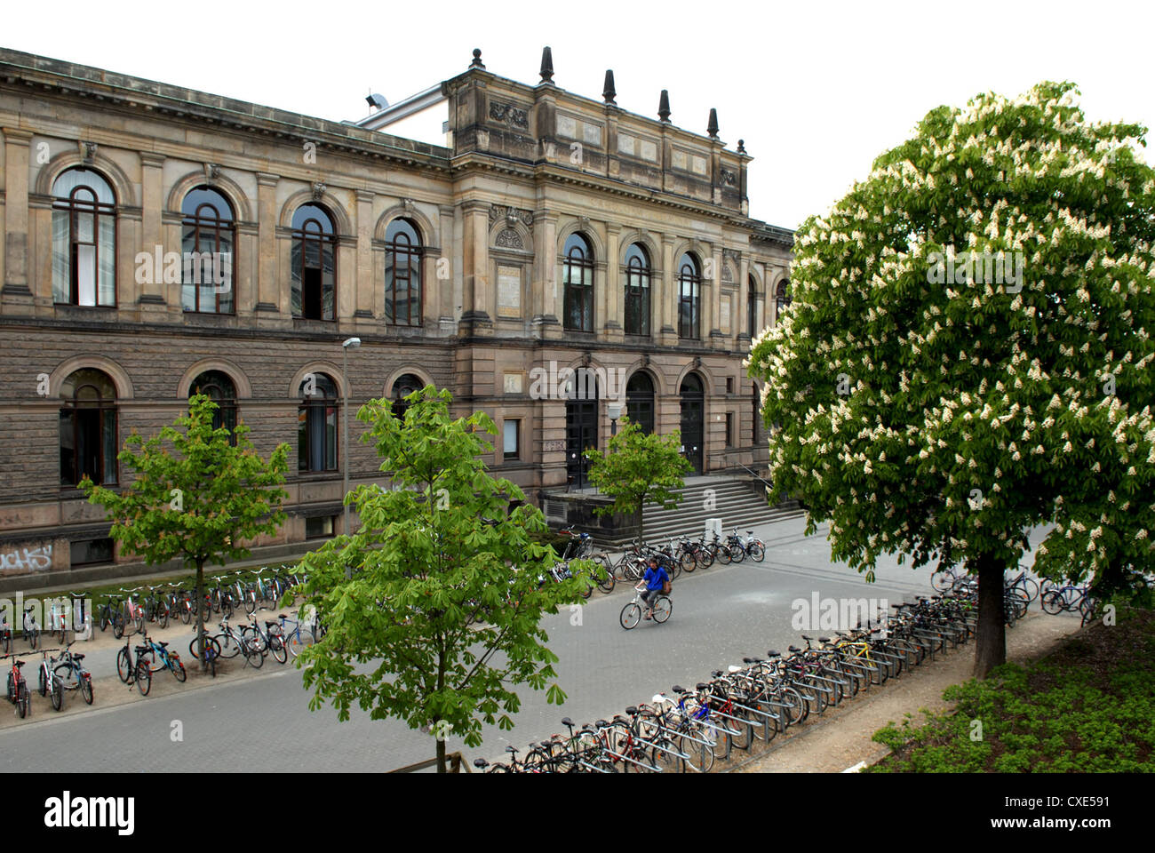 Braunschweig, Studenten an der Universität Carolo-Wilhelmina Stockfoto