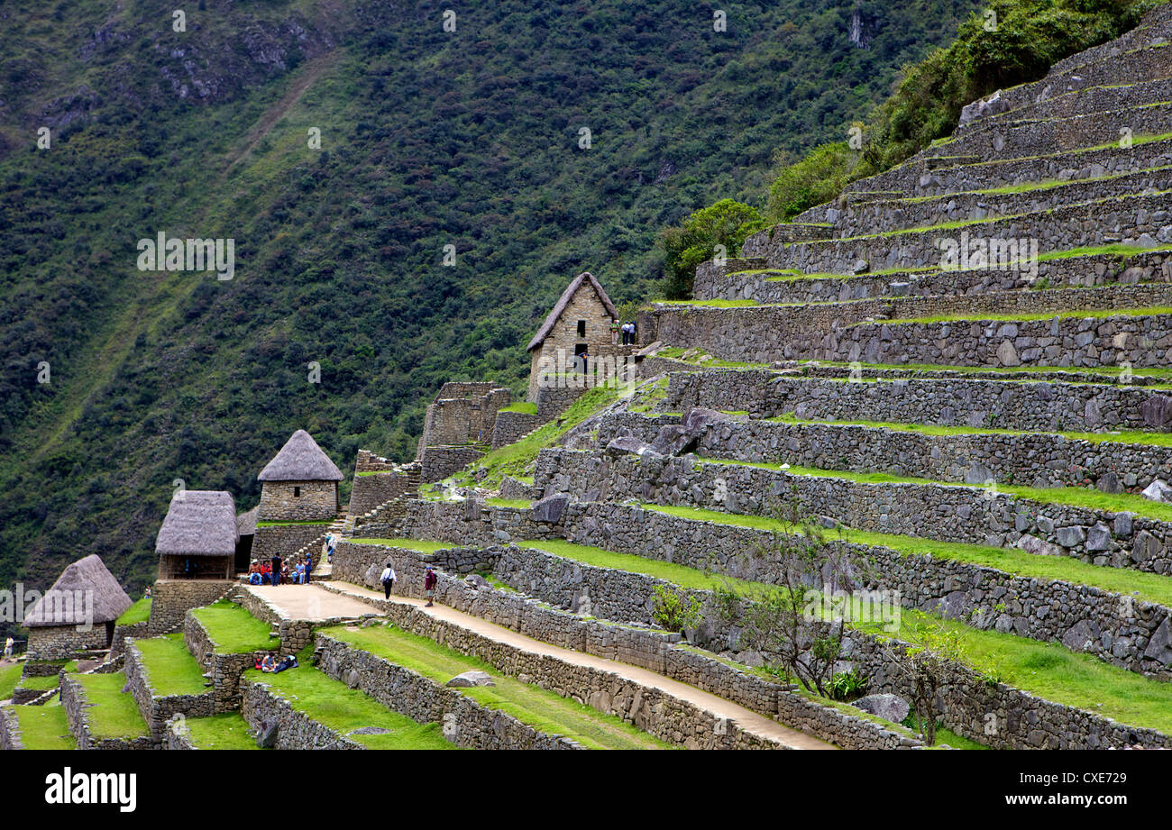 Landwirtschaftlichen Terrassen, Machu Picchu, Peru, Südamerika. Die verlorene Stadt der Inkas wurde von Hiram Bingham 1911 wiederentdeckt. Stockfoto