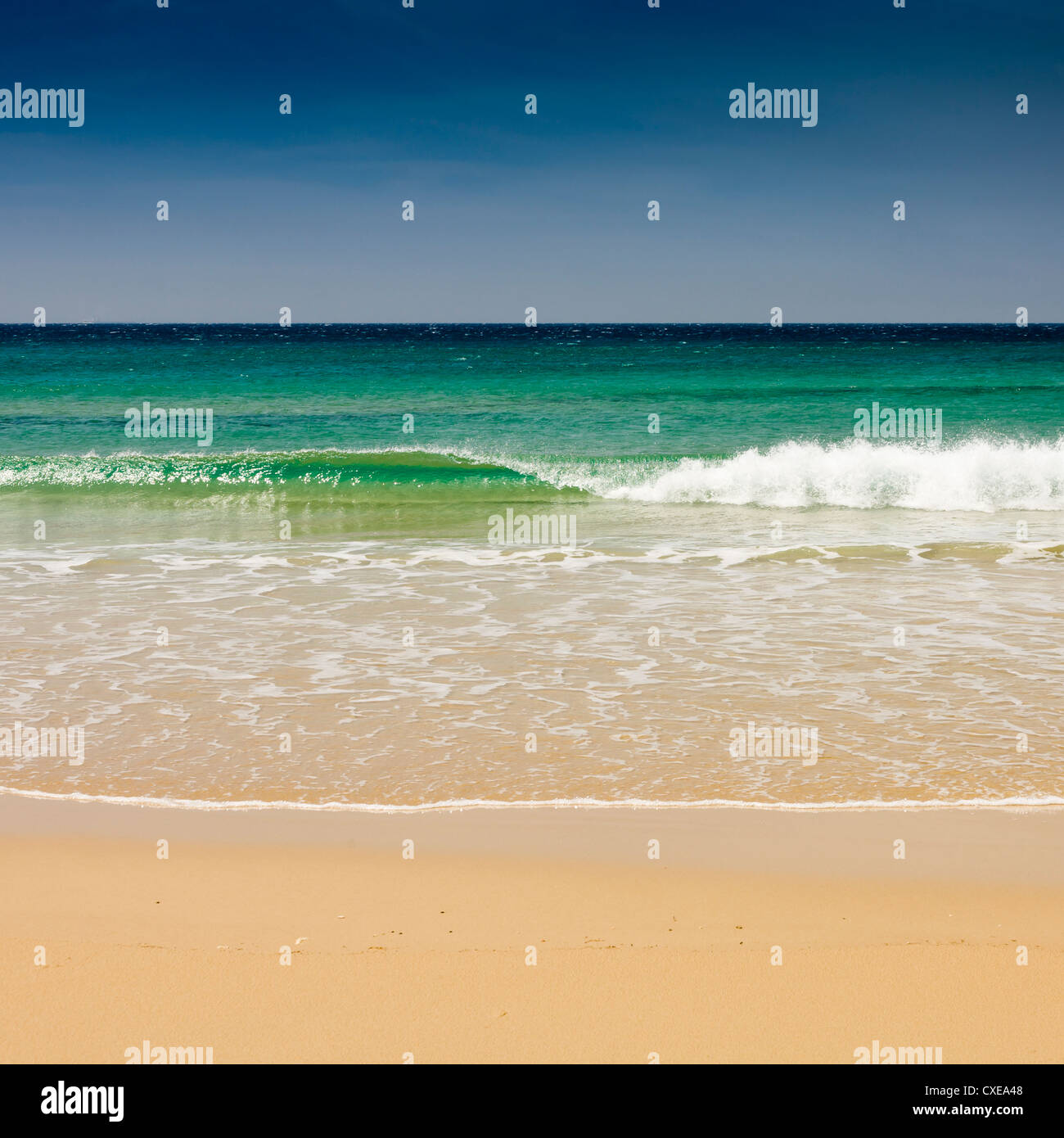 Kleine Welle, Los Lances Strand, Tarifa, Andalusien, Spanien, Europa Stockfoto