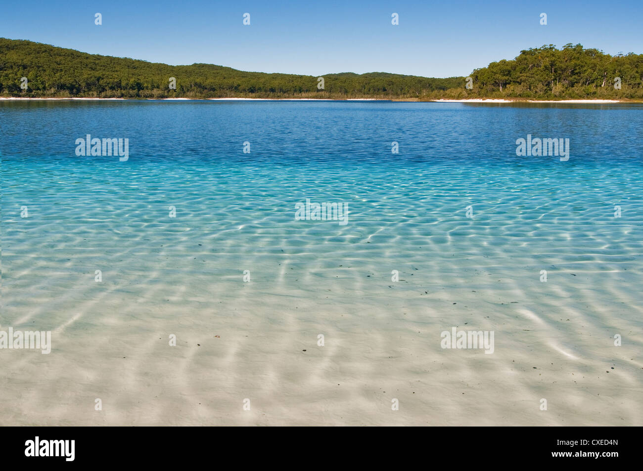 Verschiedene Blautöne am Lake McKenzie auf der berühmten Fraser Island. Stockfoto