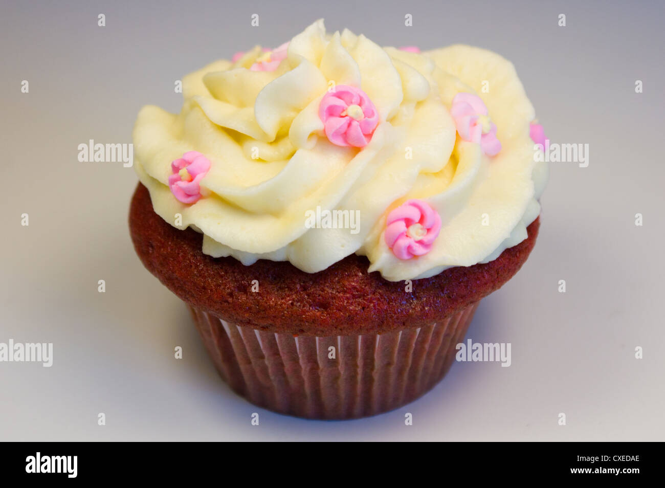 Red Velvet Cupcake mit Buttercreme Zuckerguss mit Blumenschmuck, isoliert auf weiss. Stockfoto