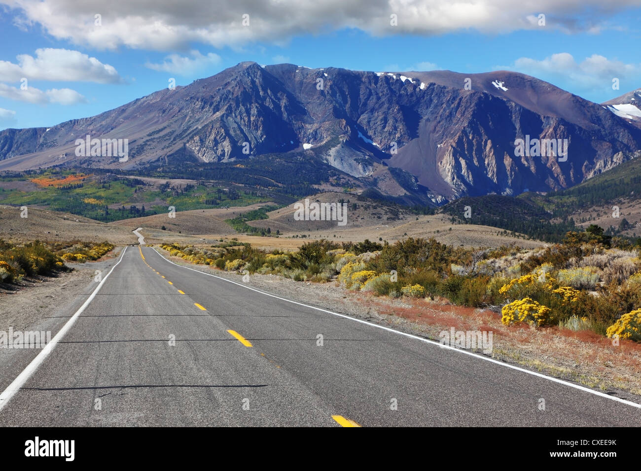Amerikanische Straße durch das malerische Wüste Stockfoto