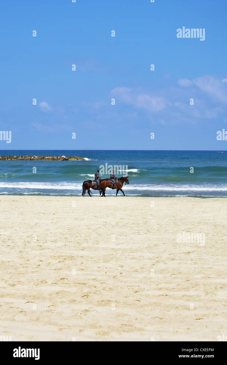 Pferd-Patrouille am Strand Stockfoto
