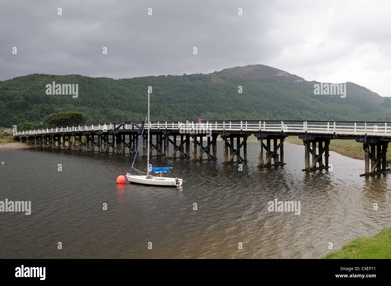 Alte Holzbrücke Maut über Mawddach Mündung Penmaenpool in der Nähe von Wales Wales Cymru UK GB Stockfoto