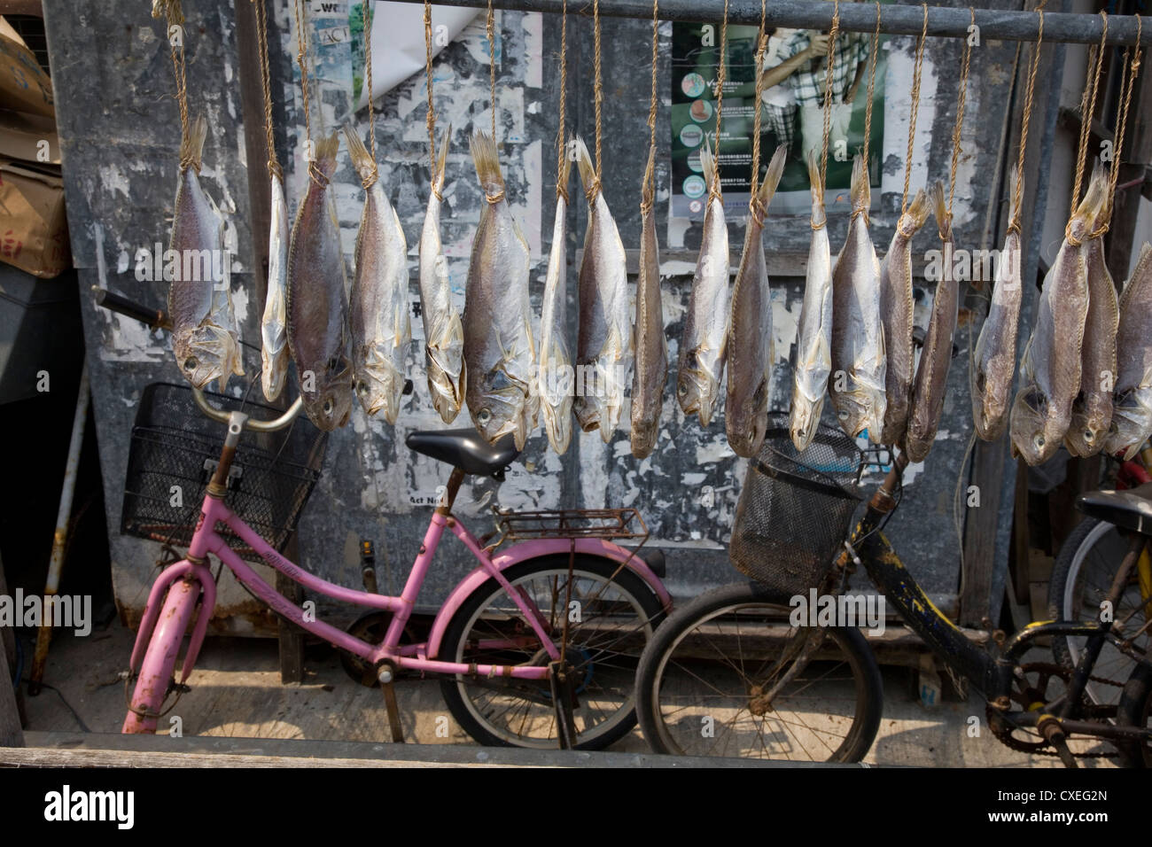 Fisch auf Lantau Island, China Fischerdorf Tai O Trocknen aufhängen. Stockfoto