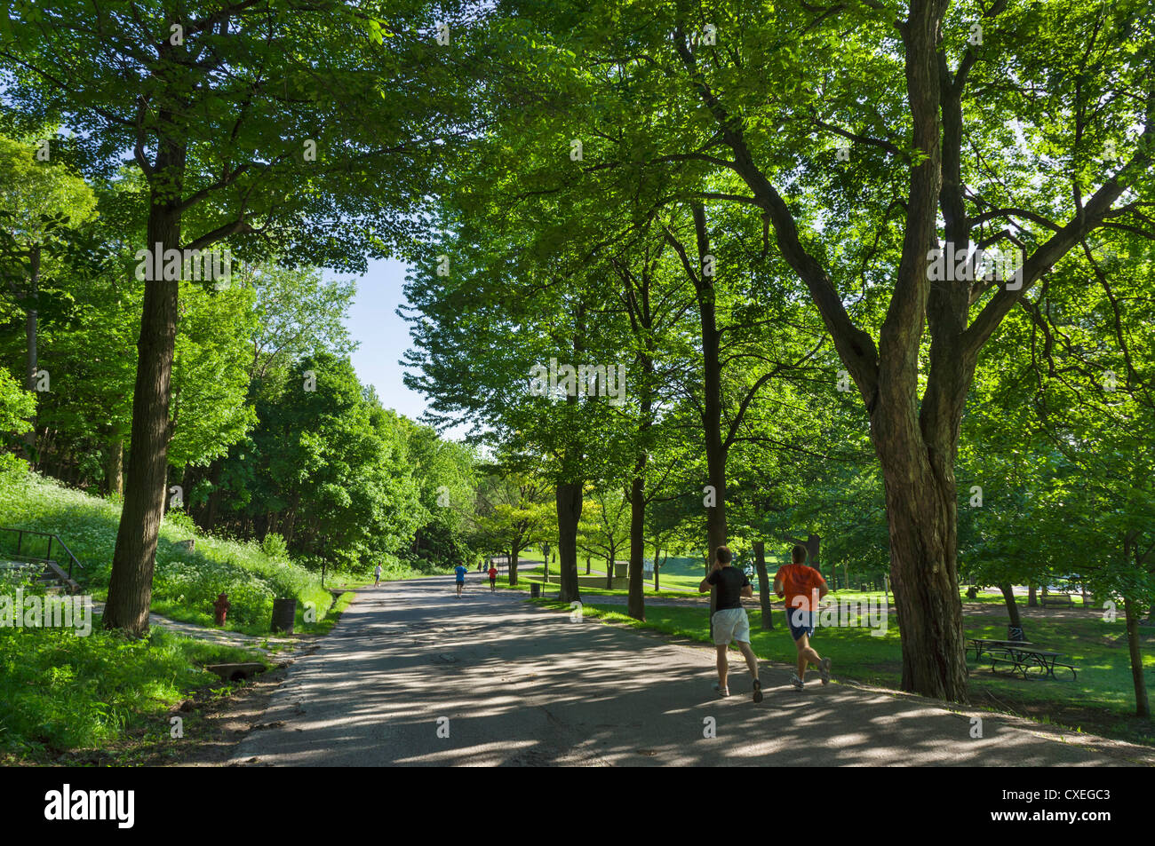 Jogger im Parc du Mont-Royal (Mount Royal Park), Montreal, Quebec, Kanada Stockfoto