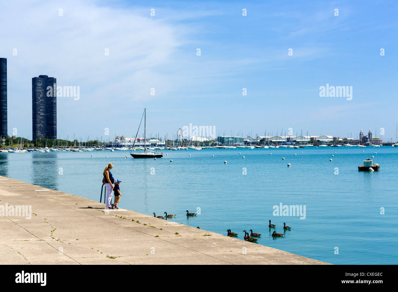 Schwangere junge Mutter mit kleinen Jungen füttern die Enten am See im Grant Park, Chicago, Illinois, USA Stockfoto