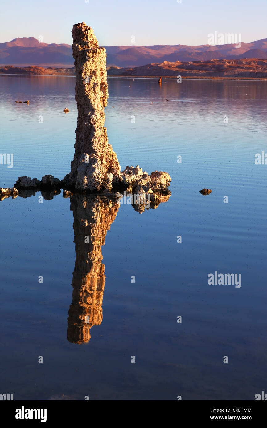 Sagenhaft tolle Riff Stockfoto