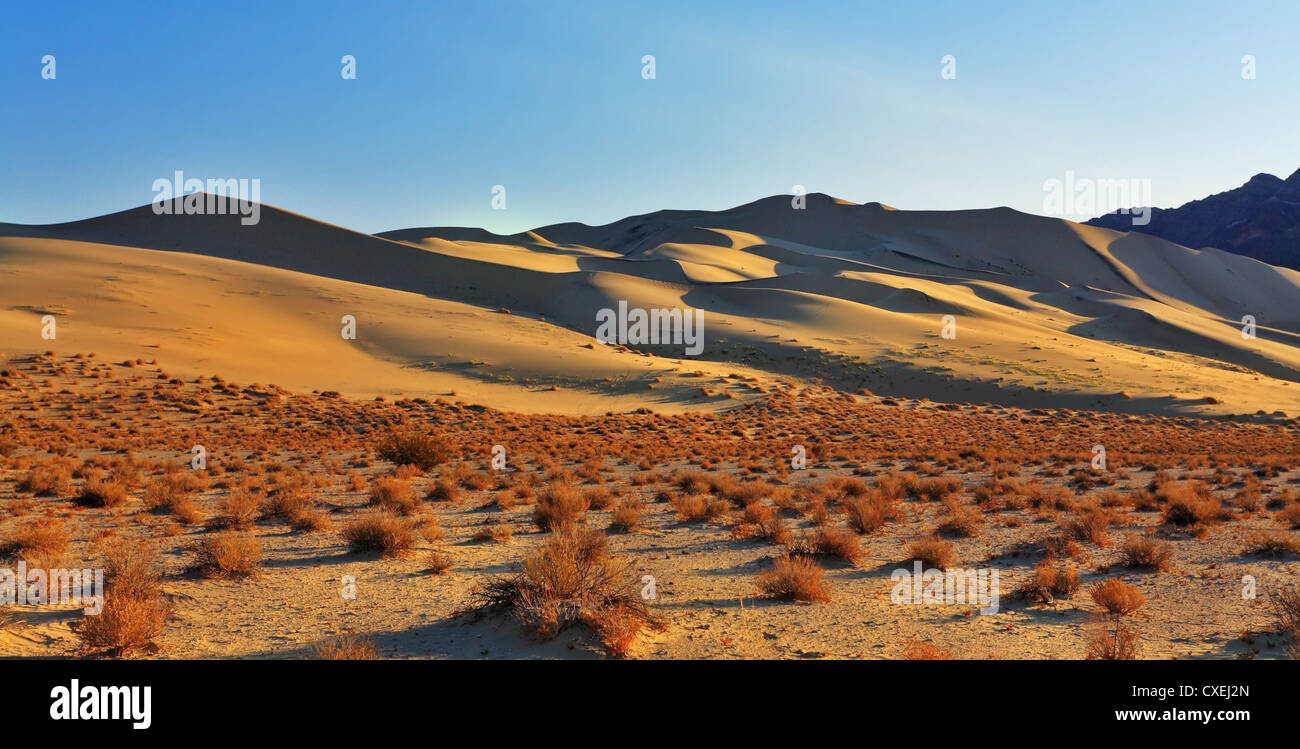 Herrlichen Sandstrand Dune Eureka auf Sonnenaufgang Stockfoto