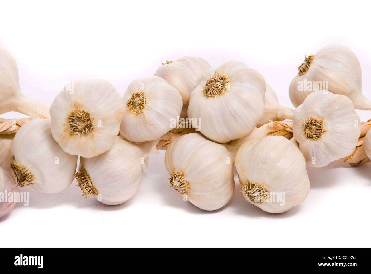 Knoblauch auf weiß mit weichen Schatten Stockfoto