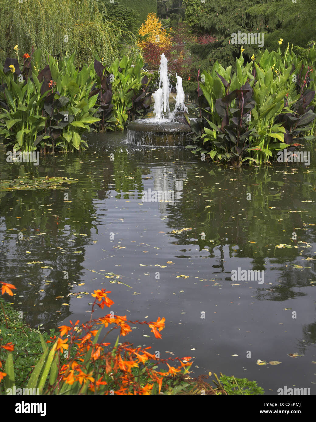 Herbst Teich. Stockfoto