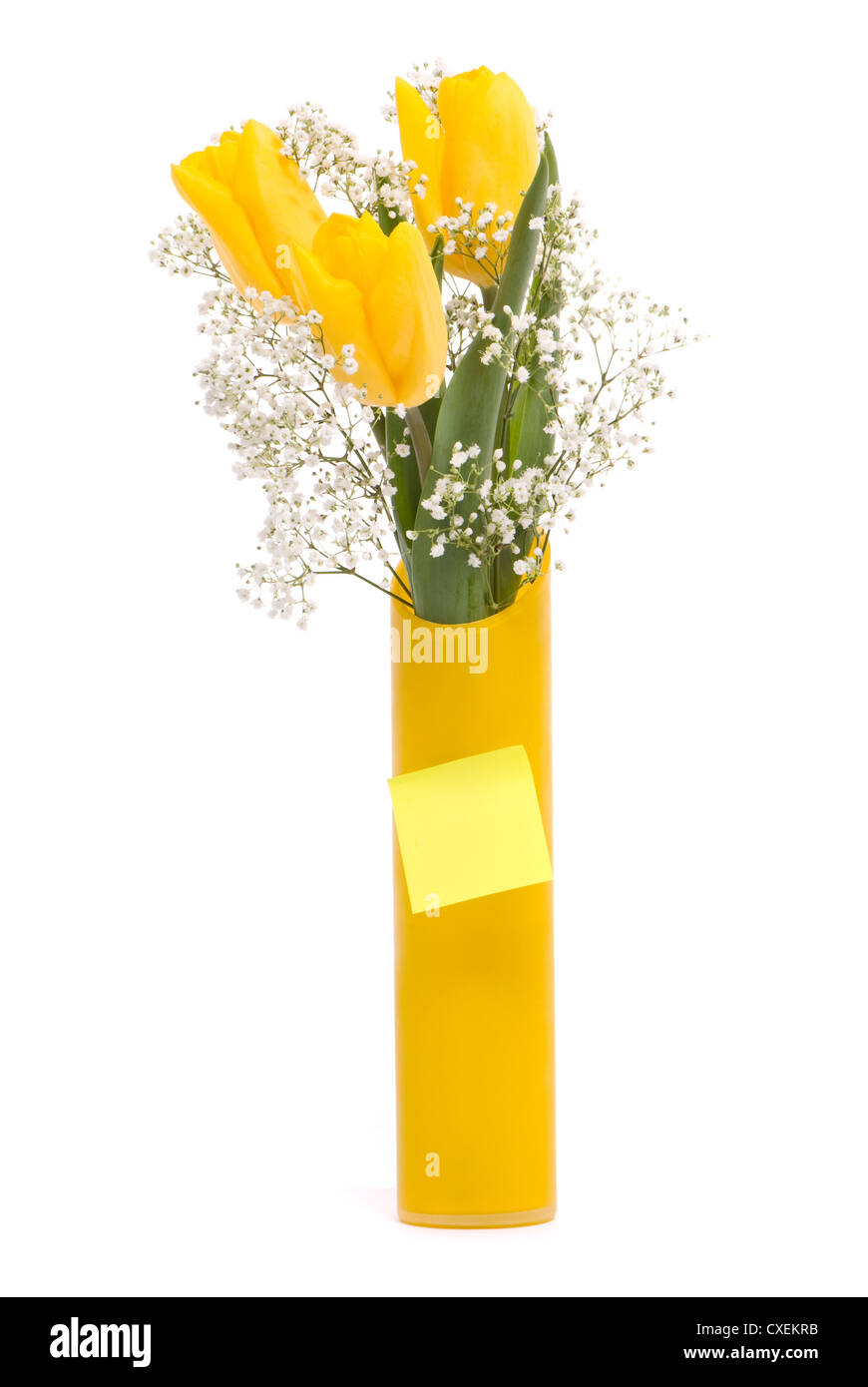 Bouquet von gelben Tulpen mit Notizpapier Stockfoto