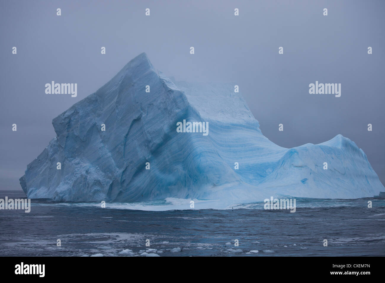 Eisberg im Scotia Meer. Stockfoto