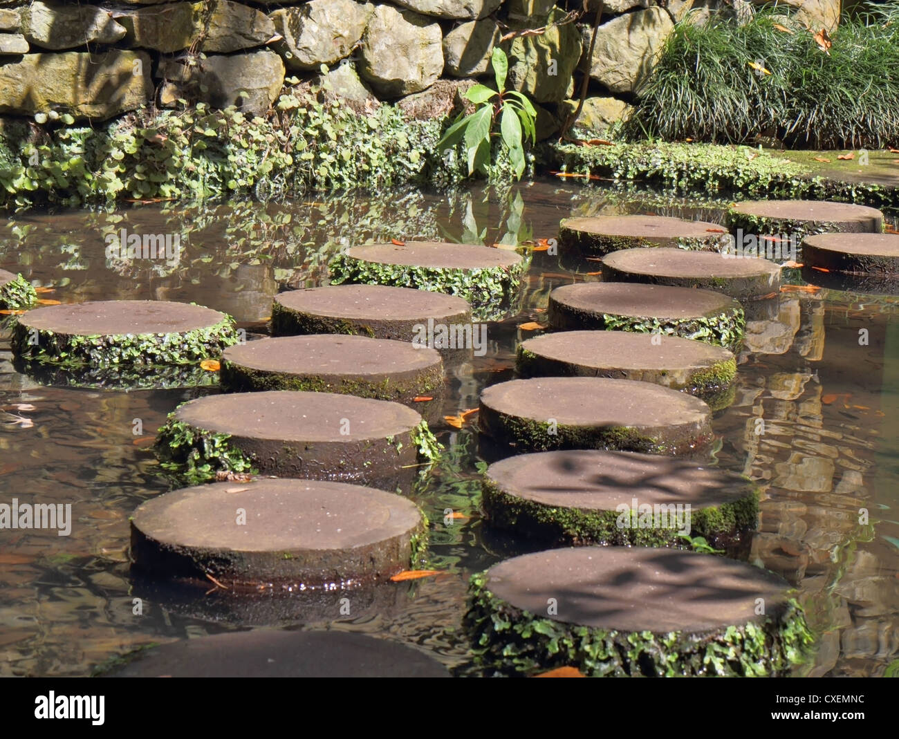 Dekorative Track über den großen Teich Stockfoto