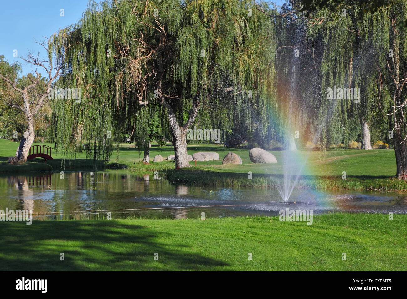 Die Bäume und leuchtenden Regenbogen Stockfoto