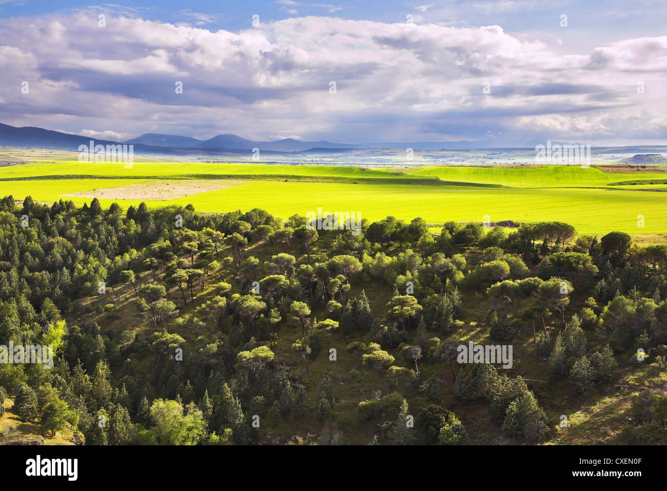 Riesiger Park in einem Vorort von Madrid Stockfoto