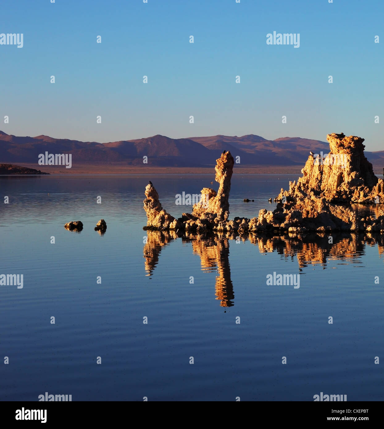 Fee Mono Lake Tufa. Stockfoto