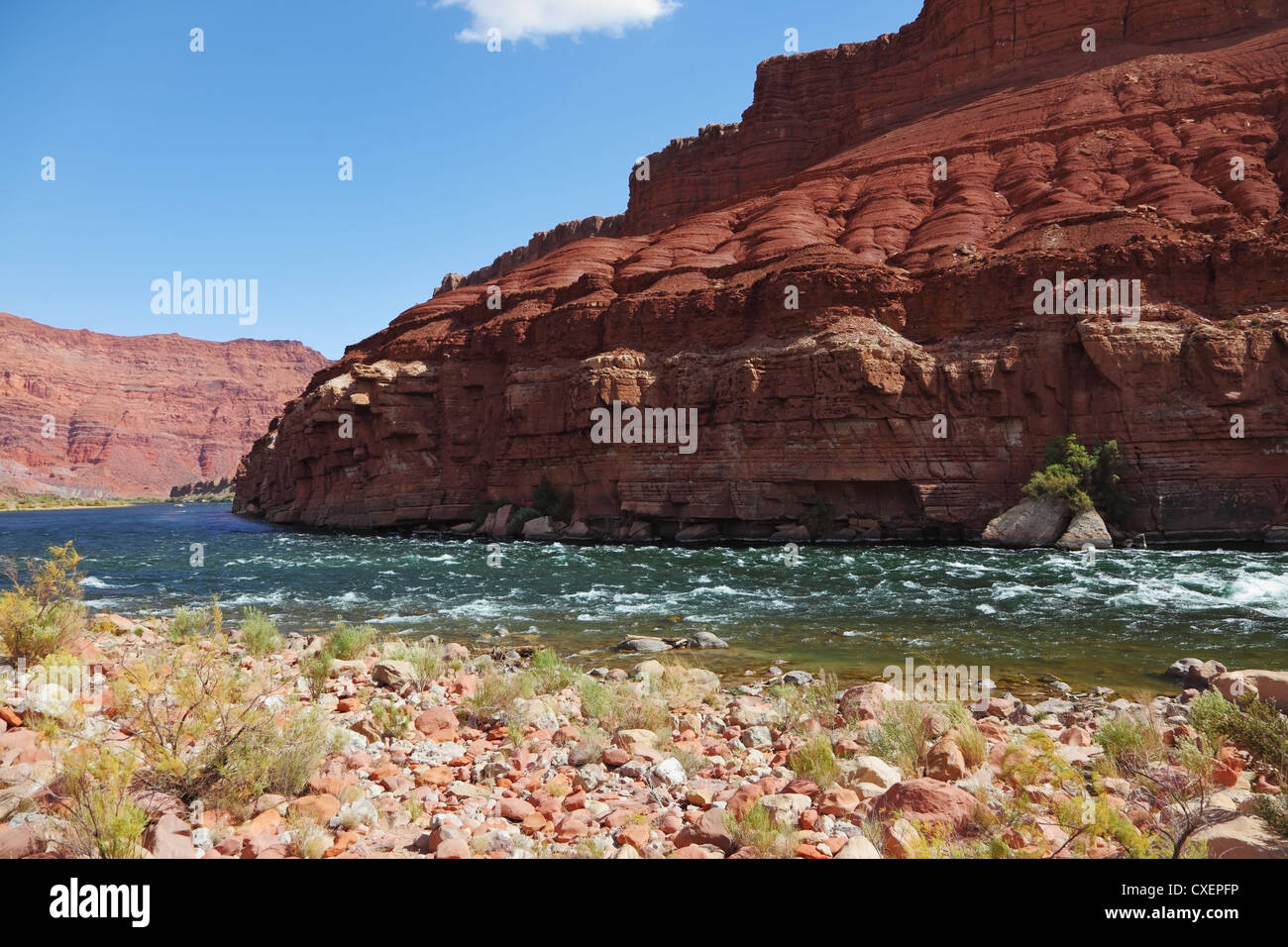 Der Colorado River in der Wüste Stockfoto