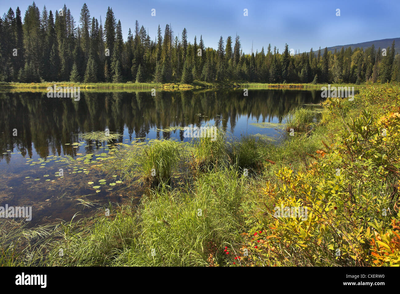 Spiegelungen im Wasser. Stockfoto Spiegelungen im Wasser. Stockfoto