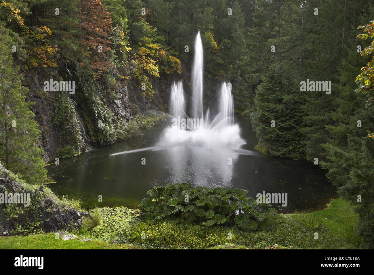 Frische des Wassers. Stockfoto